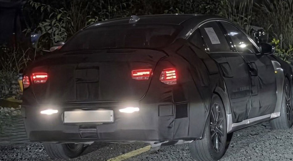 الدب نت ALDOBnet tweet media