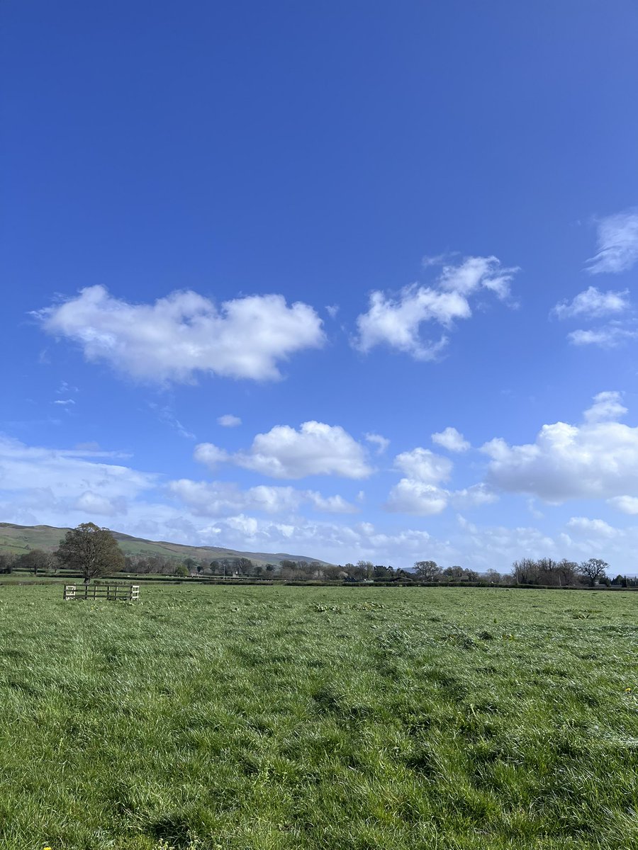 ionarees's tweet image. Beautiful afternoon #NorthWales 🏴󠁧󠁢󠁷󠁬󠁳󠁿