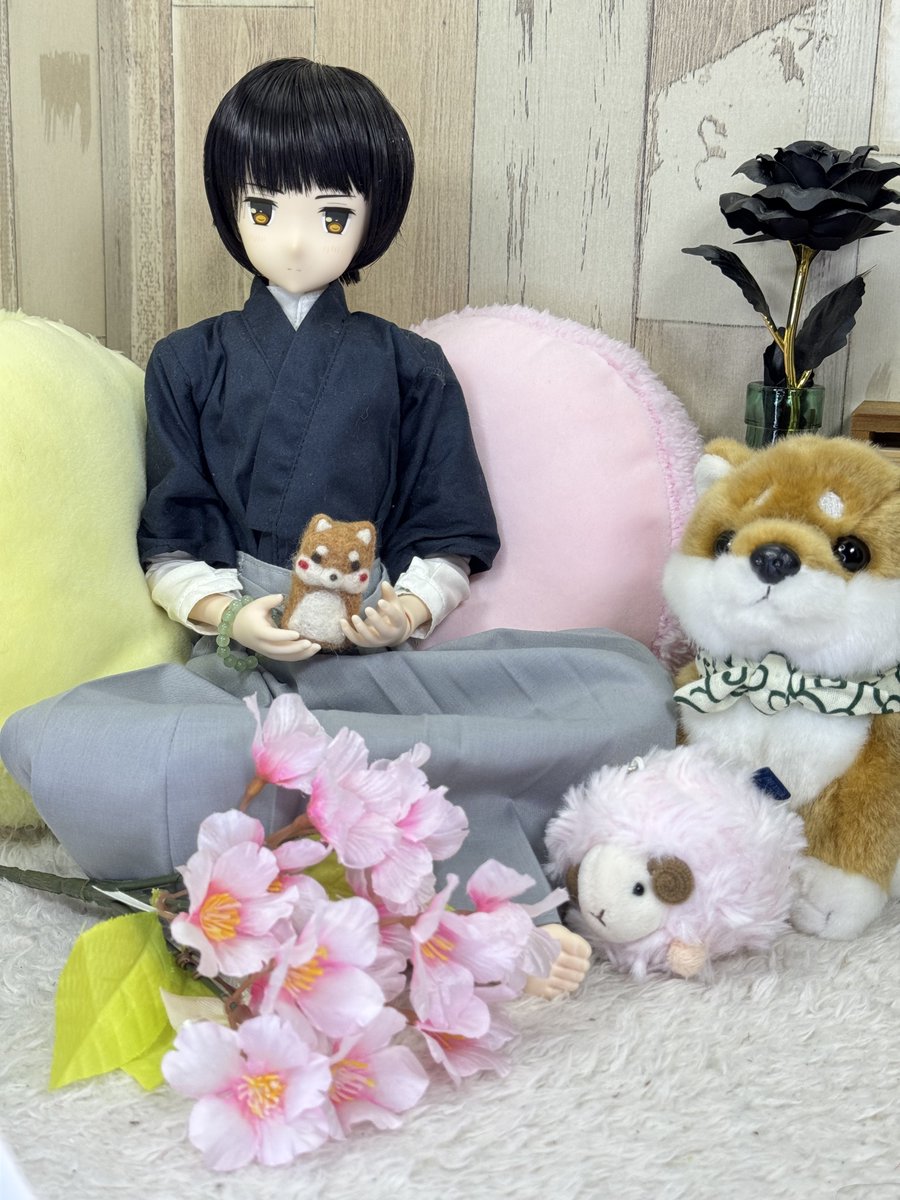bearbeartyan's tweet photo. (๑و•̀ω•́)و{今夜のお題は、???
4月花残月・さくら🌸
#AZO2
#アゾカツ
#ドルぽん
#深夜のドール撮影60分一本勝負 https://t.co/jW4jV210f1