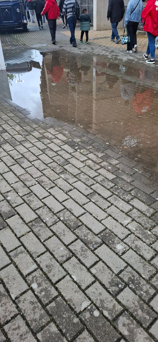 Francisco Palma tweet media