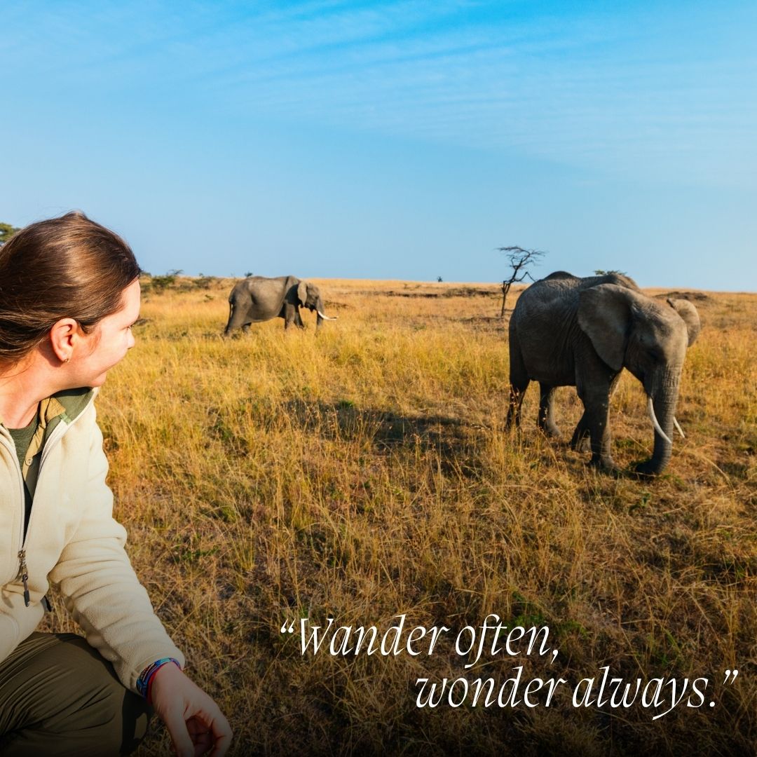 FriendlyPlanetTravel tweet media