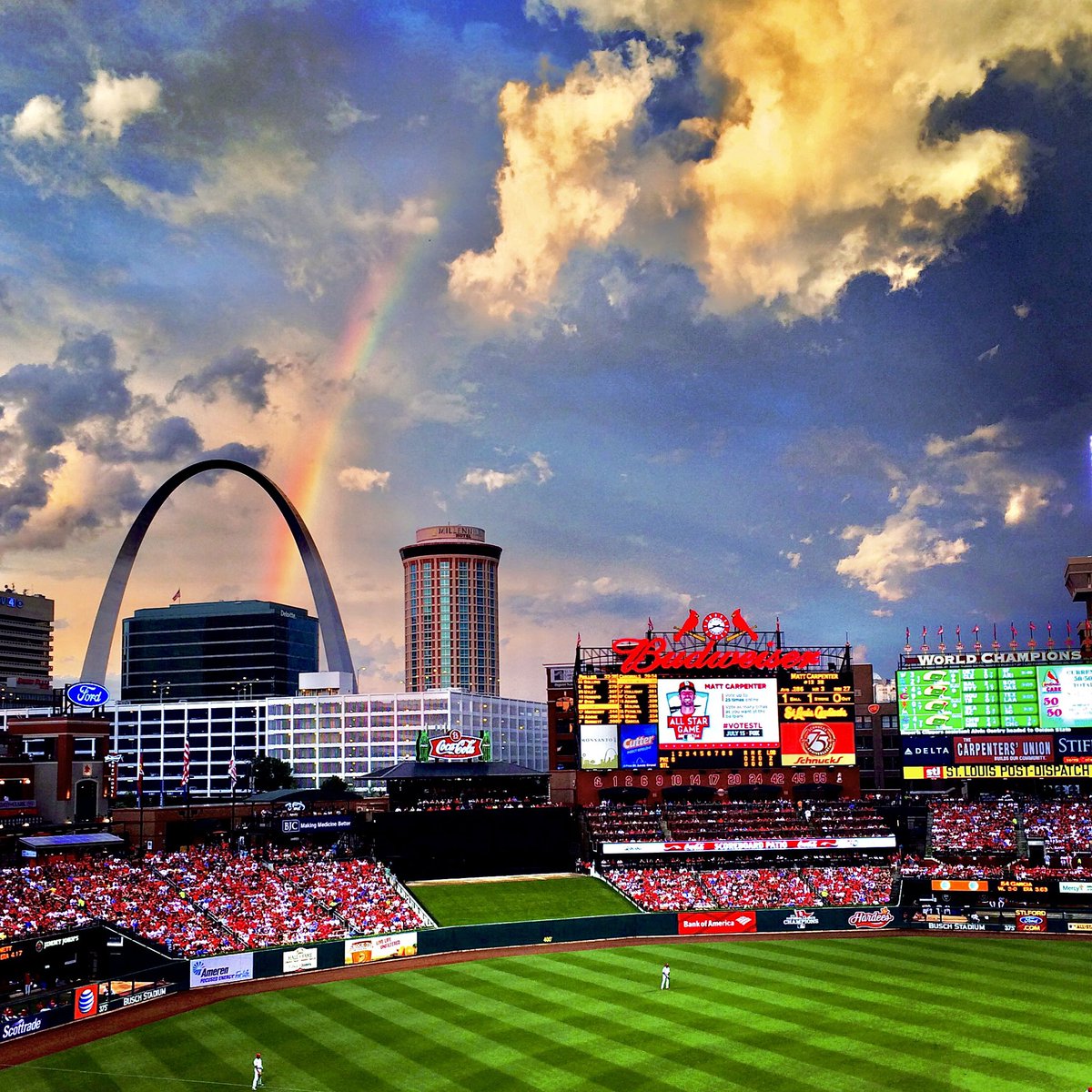 Maggie Johnson tweet media