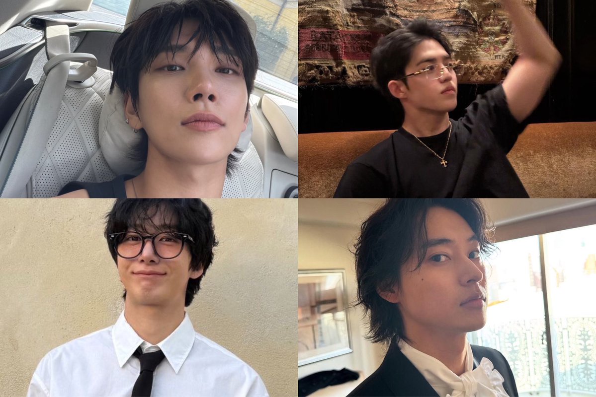 donquixote tweet media