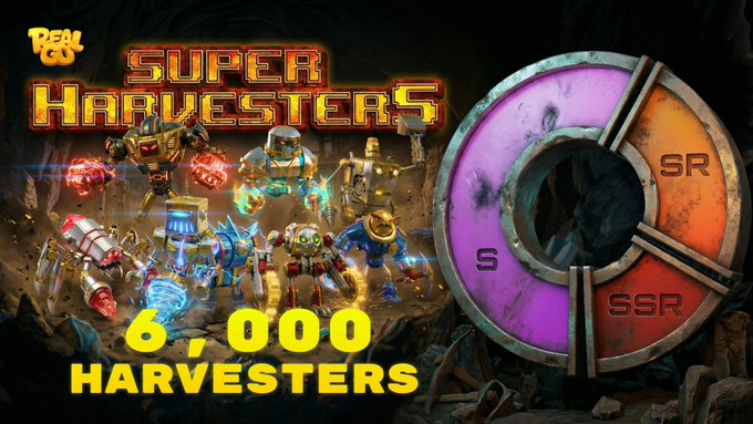 绒绒🐰Bunny tweet media