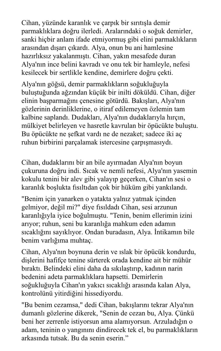 berracan 𐦍 tweet media