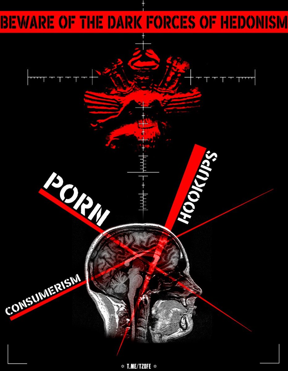 𓉱✡זאב tweet media