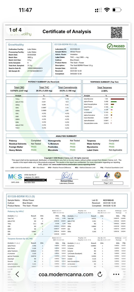 𝒜𝓃𝑔𝑒𝓁🪽 tweet media