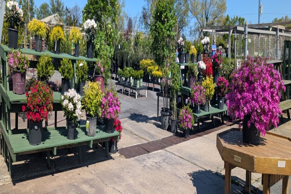 Johnson's Florist tweet media