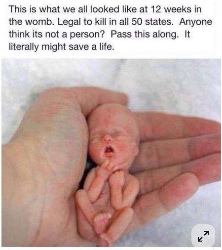 LifeNews.com tweet media