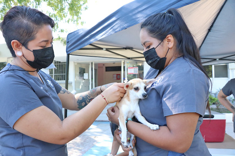 Germán Medrano tweet media