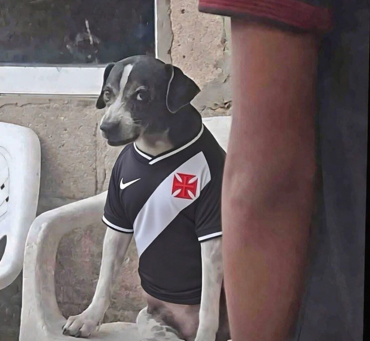 : Sua imensa torcida é bem feliz:
: eu hoje pela manhã!: