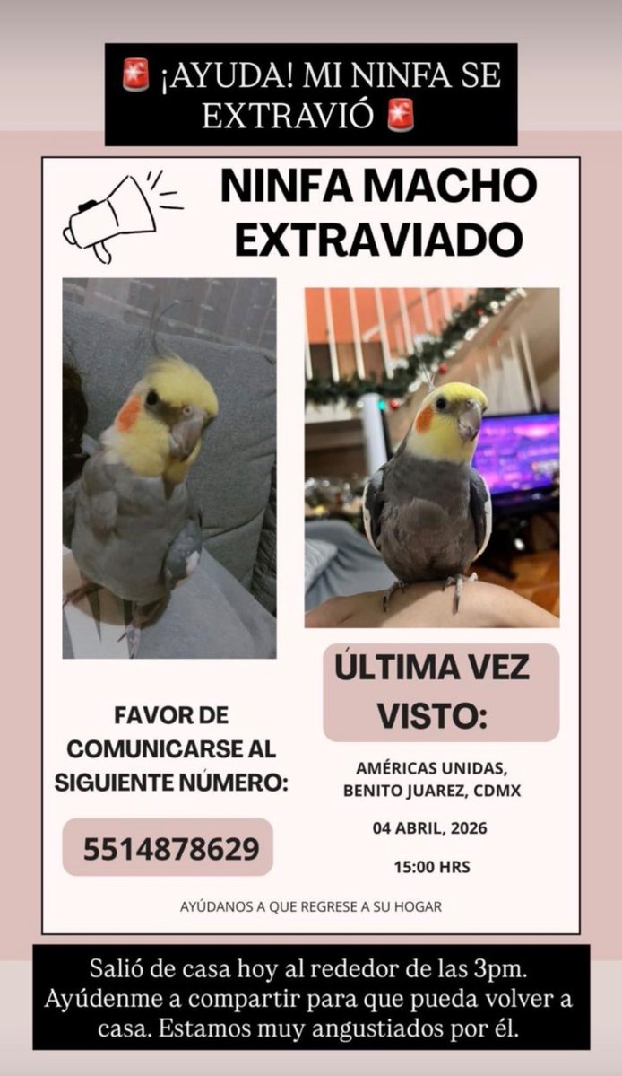 andrea ortiz morales tweet media