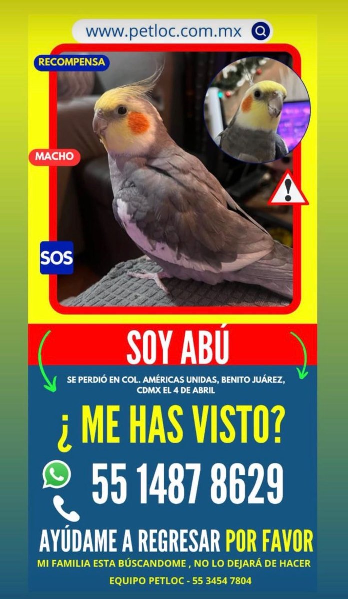 andrea ortiz morales tweet media