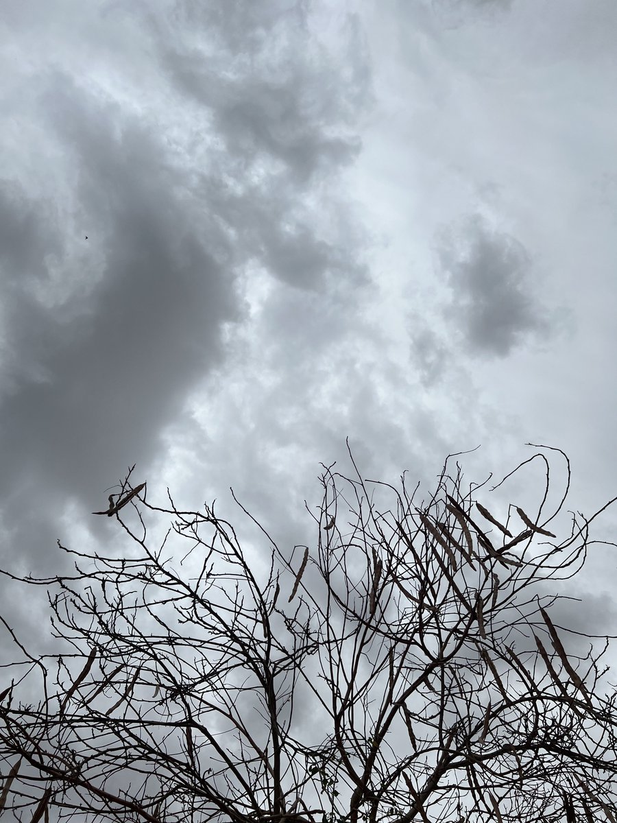 rrrr191817's tweet photo. Good weather good mood☁️🌬️ https://t.co/yni07BWgJQ