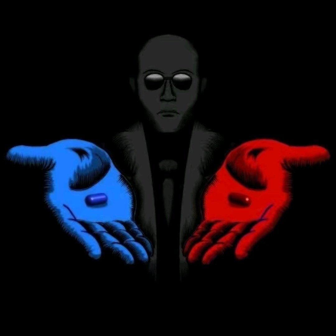 MT CIA News tweet media