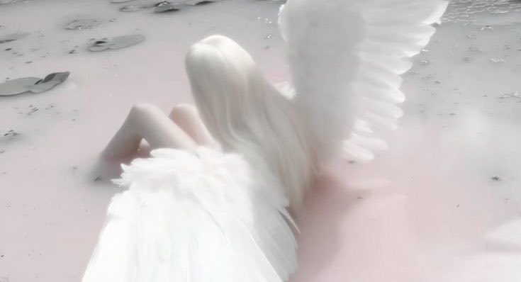 ᯓ‎𝄞 ˎˊ˗ katiegrace (0/23kg) tweet media