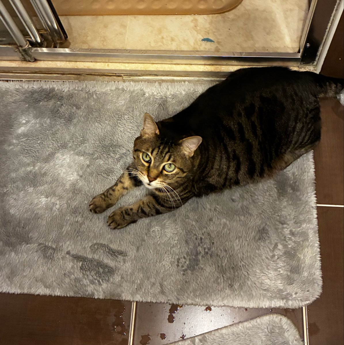 Özgün Jagdtiger tweet media