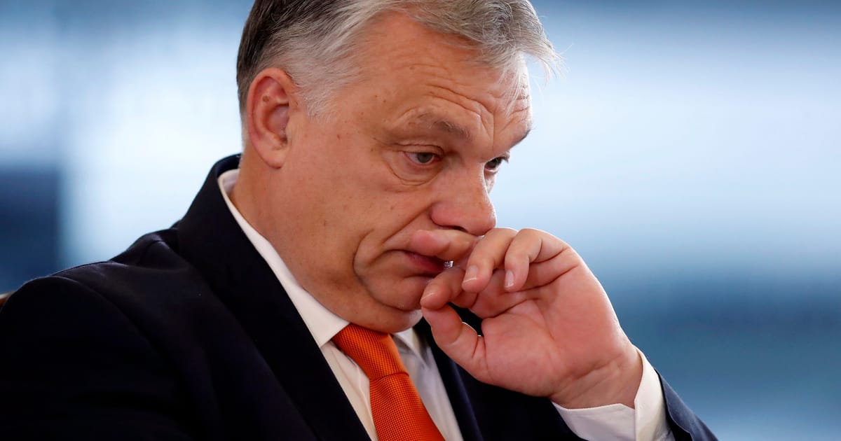 Szabolcs Panyi tweet media
