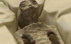 THE Jr. NA tweet media