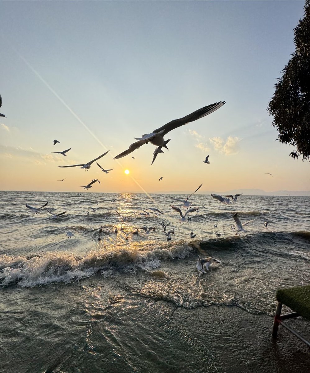 Crypto-东方既白 tweet media