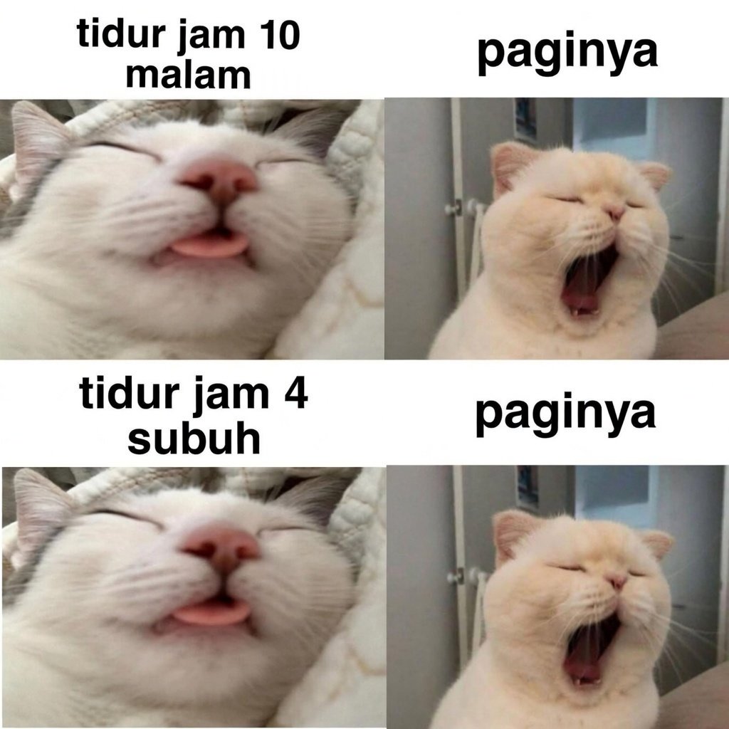 Ketawa Sambil Nangis tweet media