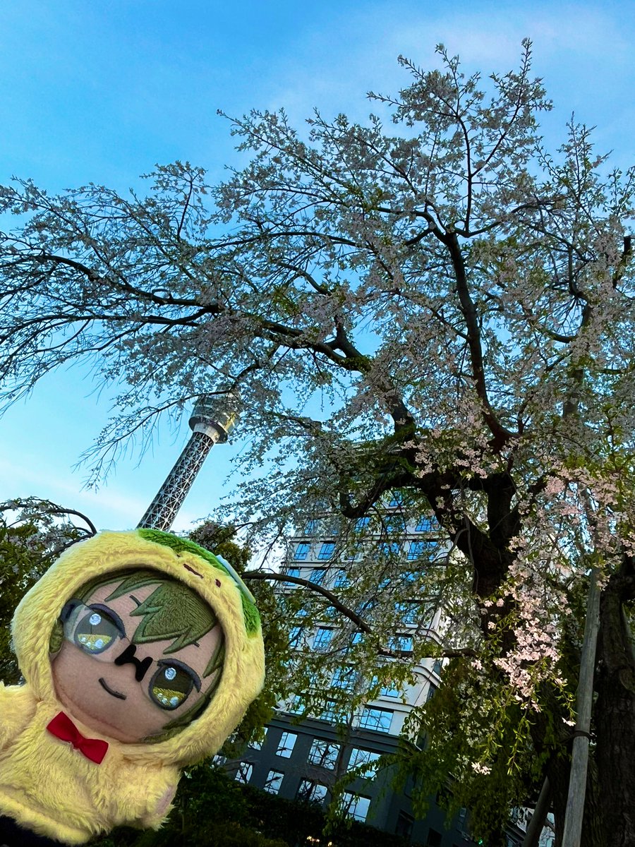 ひーこ😁 tweet media