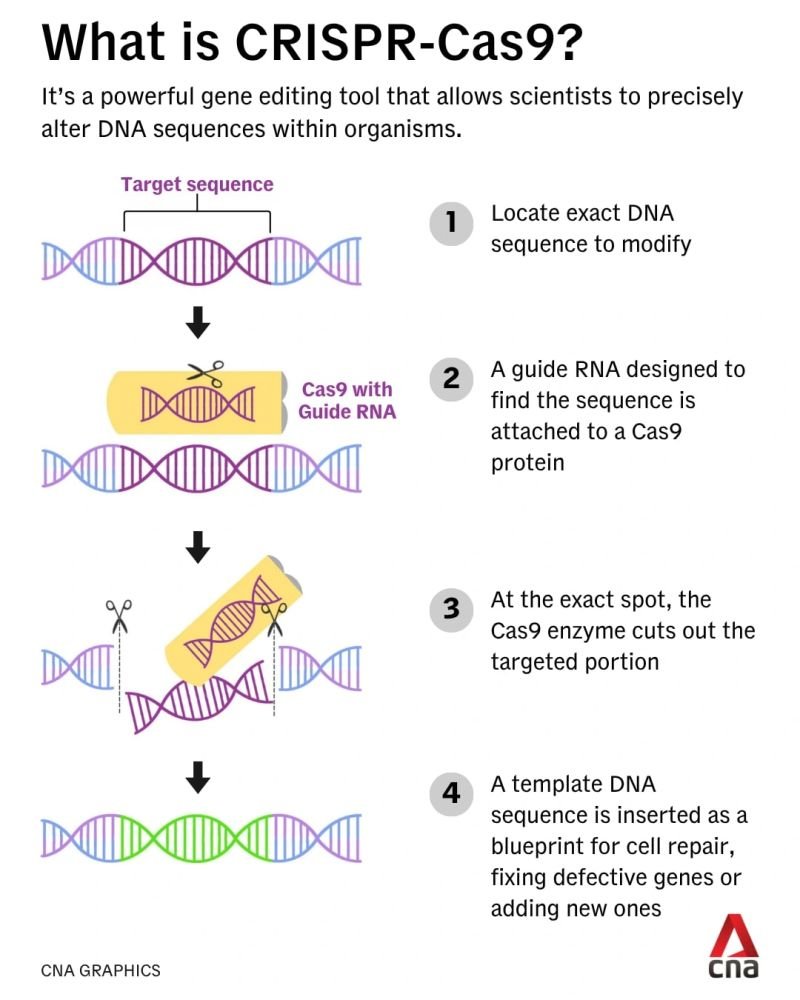 Prashant Kumar, CSO-DATAR CANCER GENETICS tweet media
