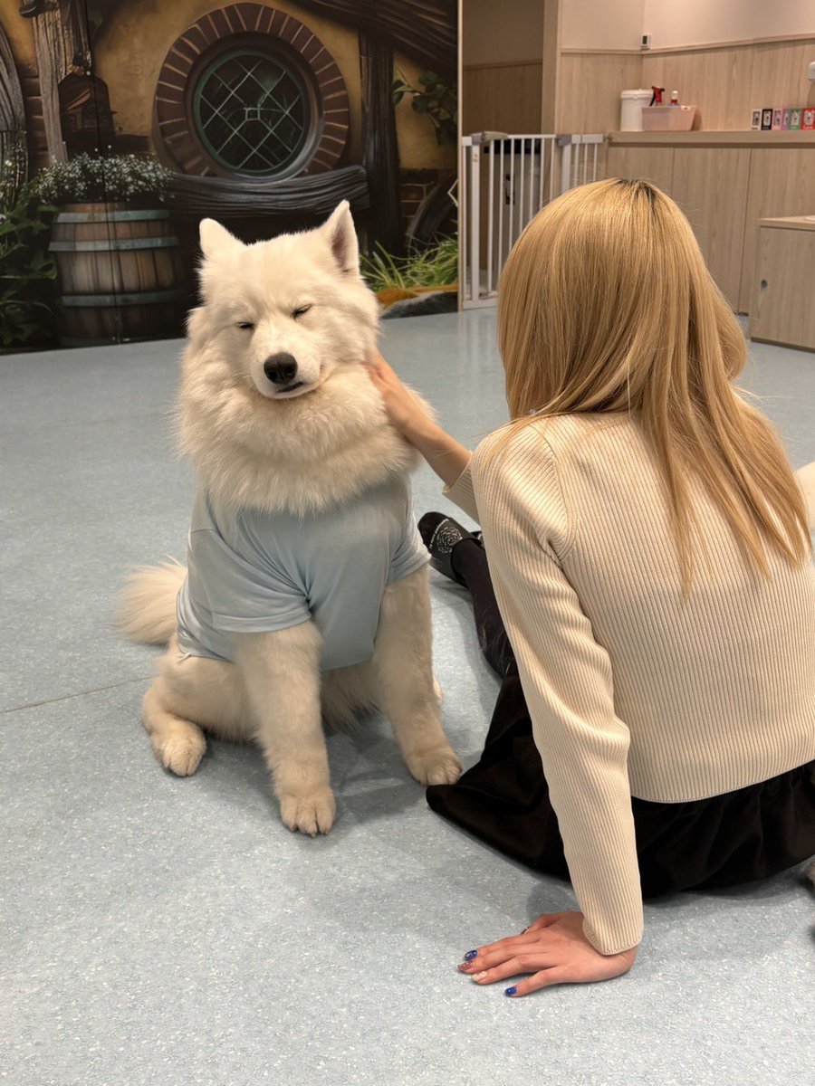 みゅな🎀ギルド仙台国分町コンカフェ tweet media