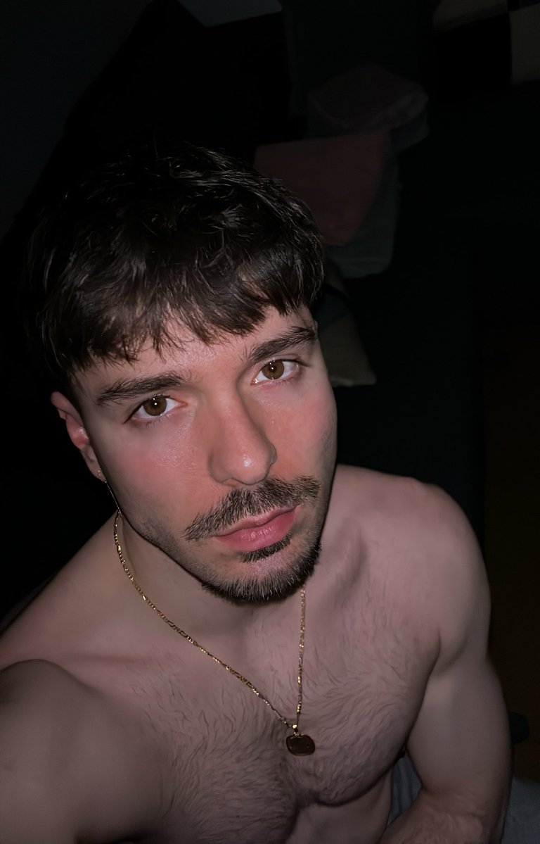 Petit Agneau tweet media