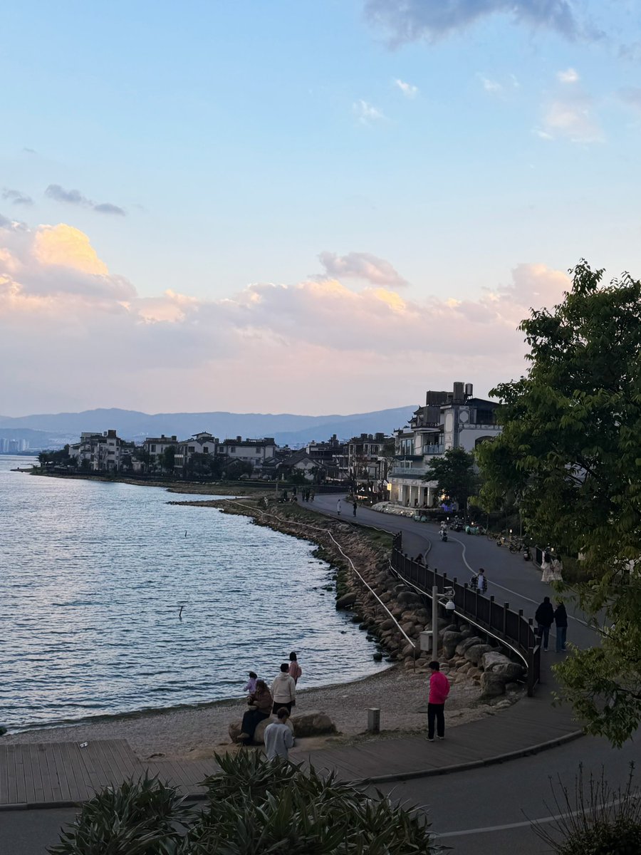 芋泥麻薯蛋挞 tweet media