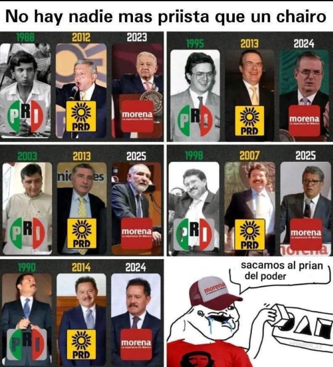 Miguel P.L tweet media