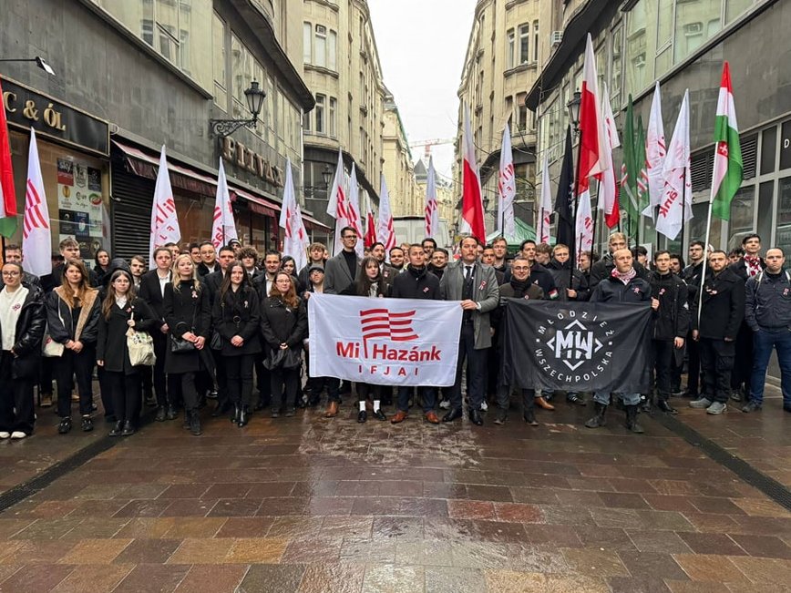 Młodzież Wszechpolska tweet media