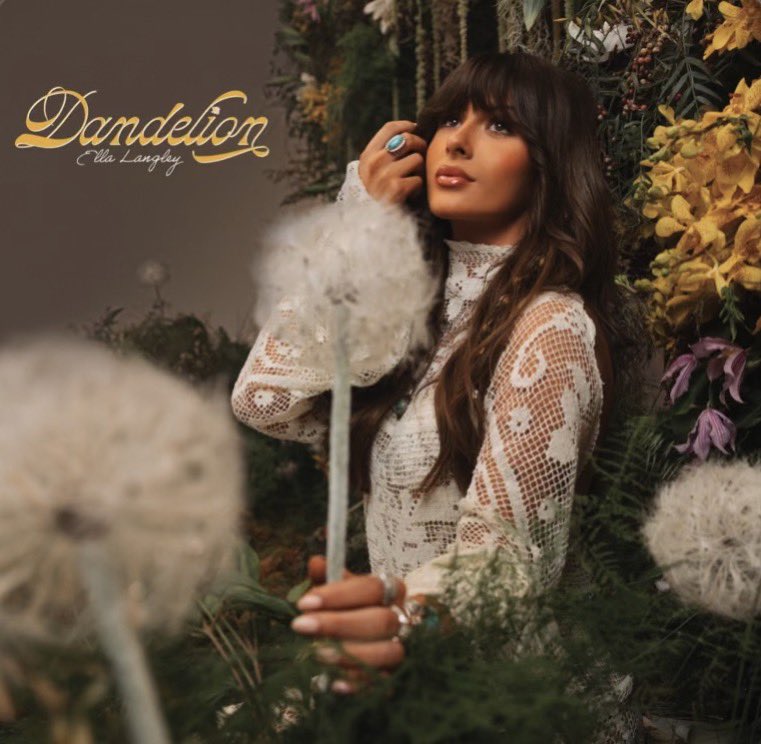 Baja blast tweet media