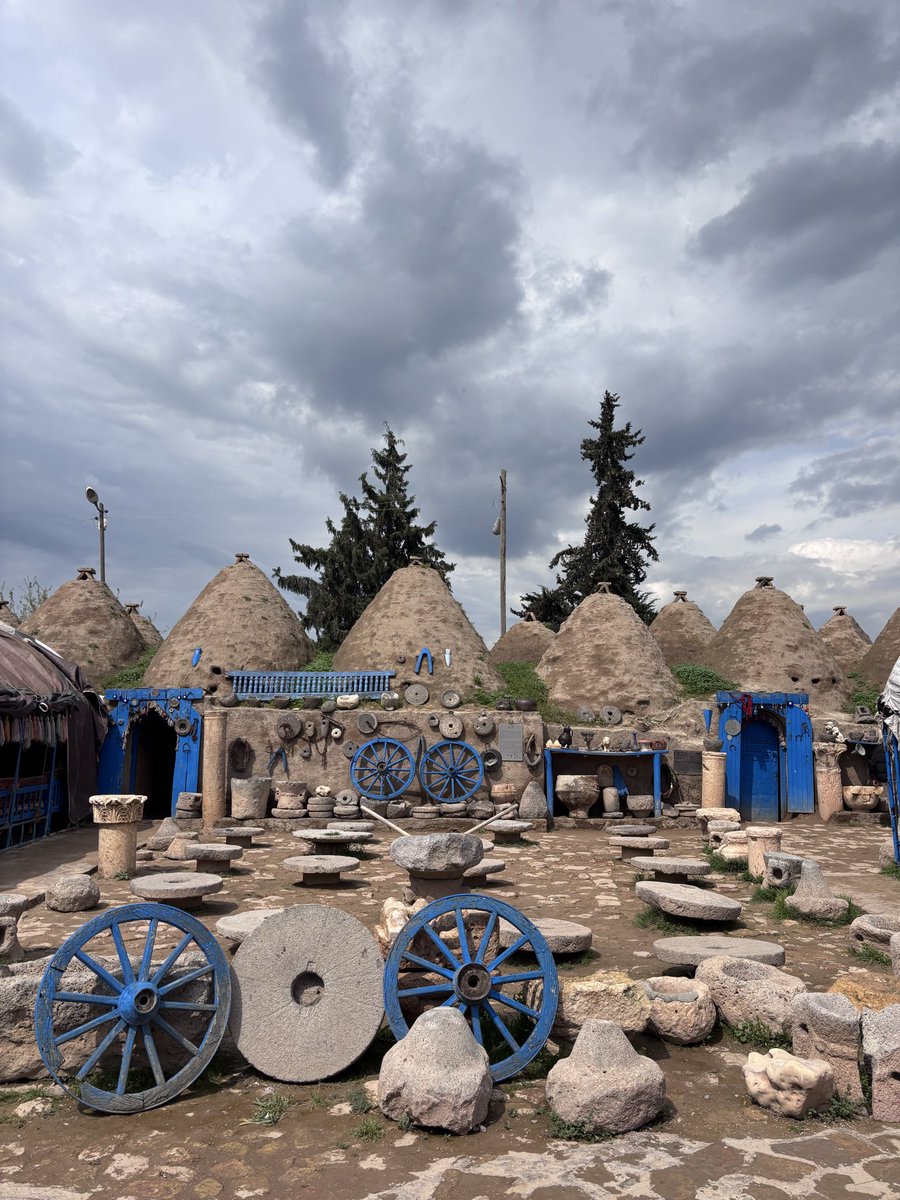 sonradan_gourme tweet media