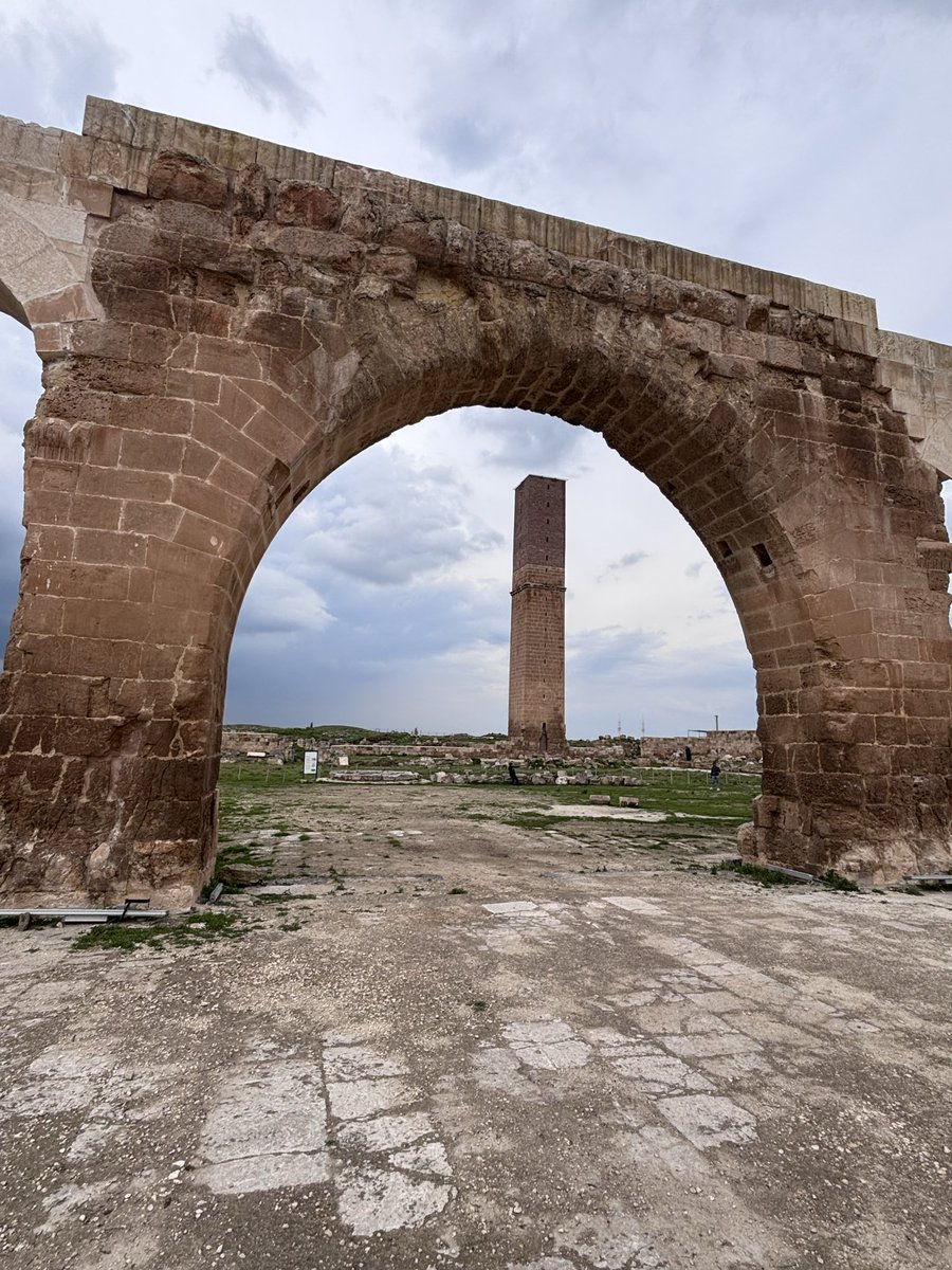 sonradan_gourme tweet media