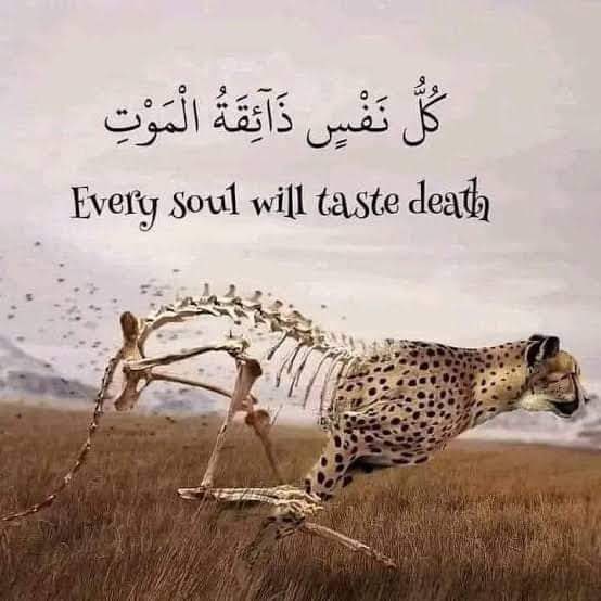 “Every soul will taste death.”