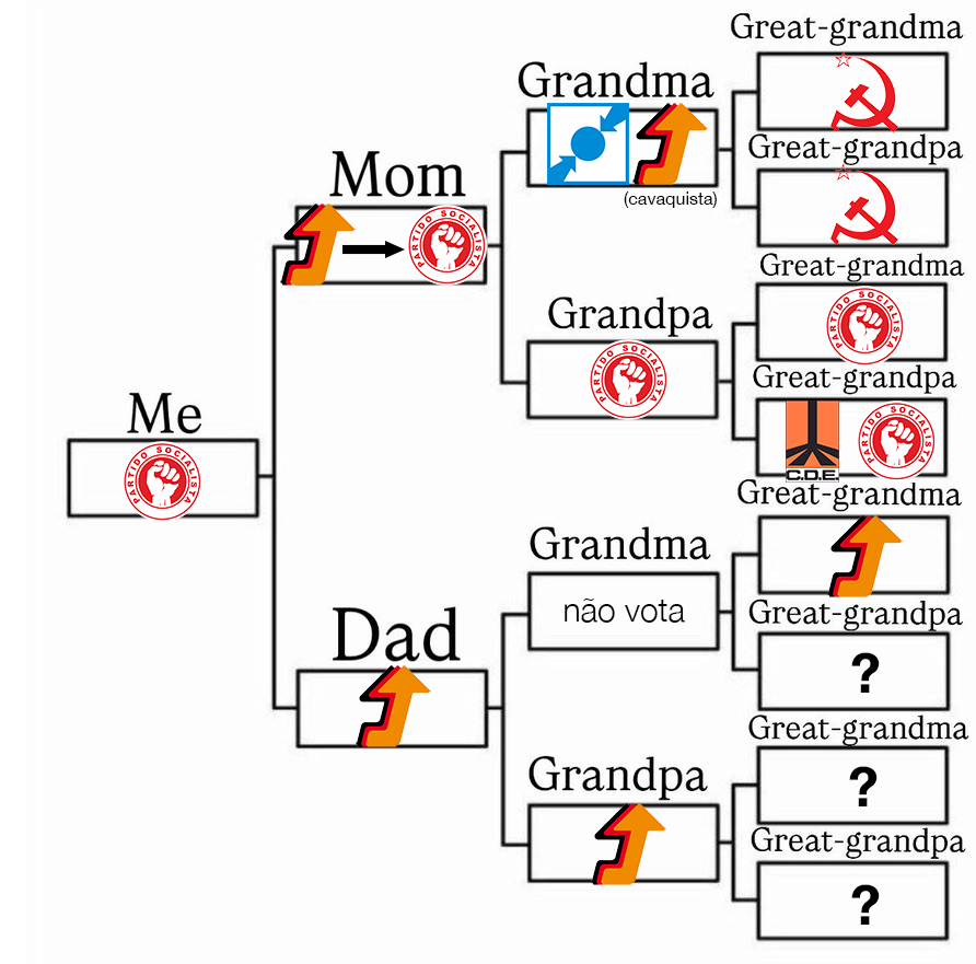 Bruno Vilhena tweet media