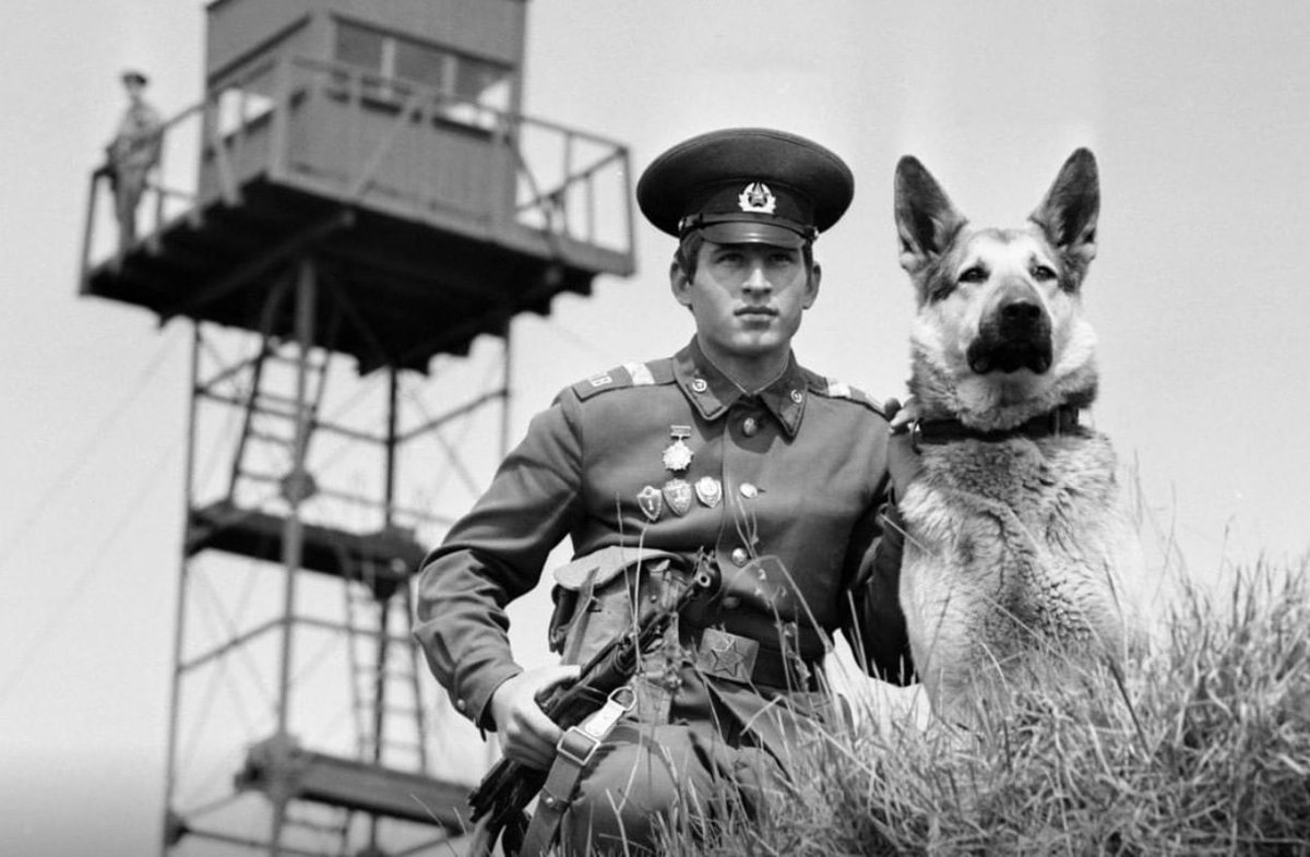 Игорь Александров ☭ tweet media