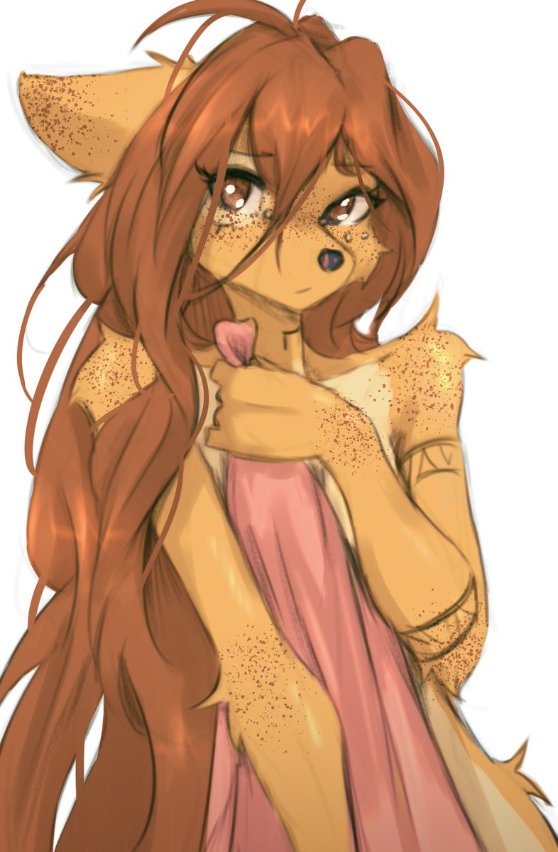 Tiny Boring Pirate tweet media