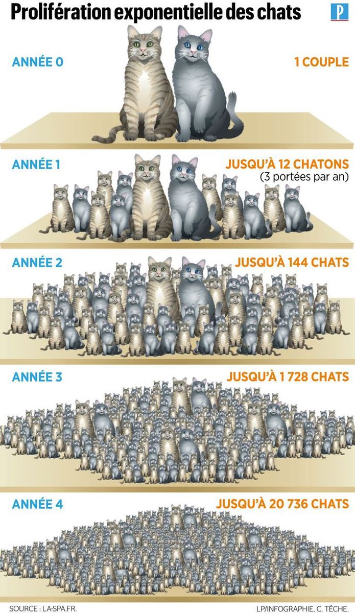 dora ☪︎∴🦇 tweet media