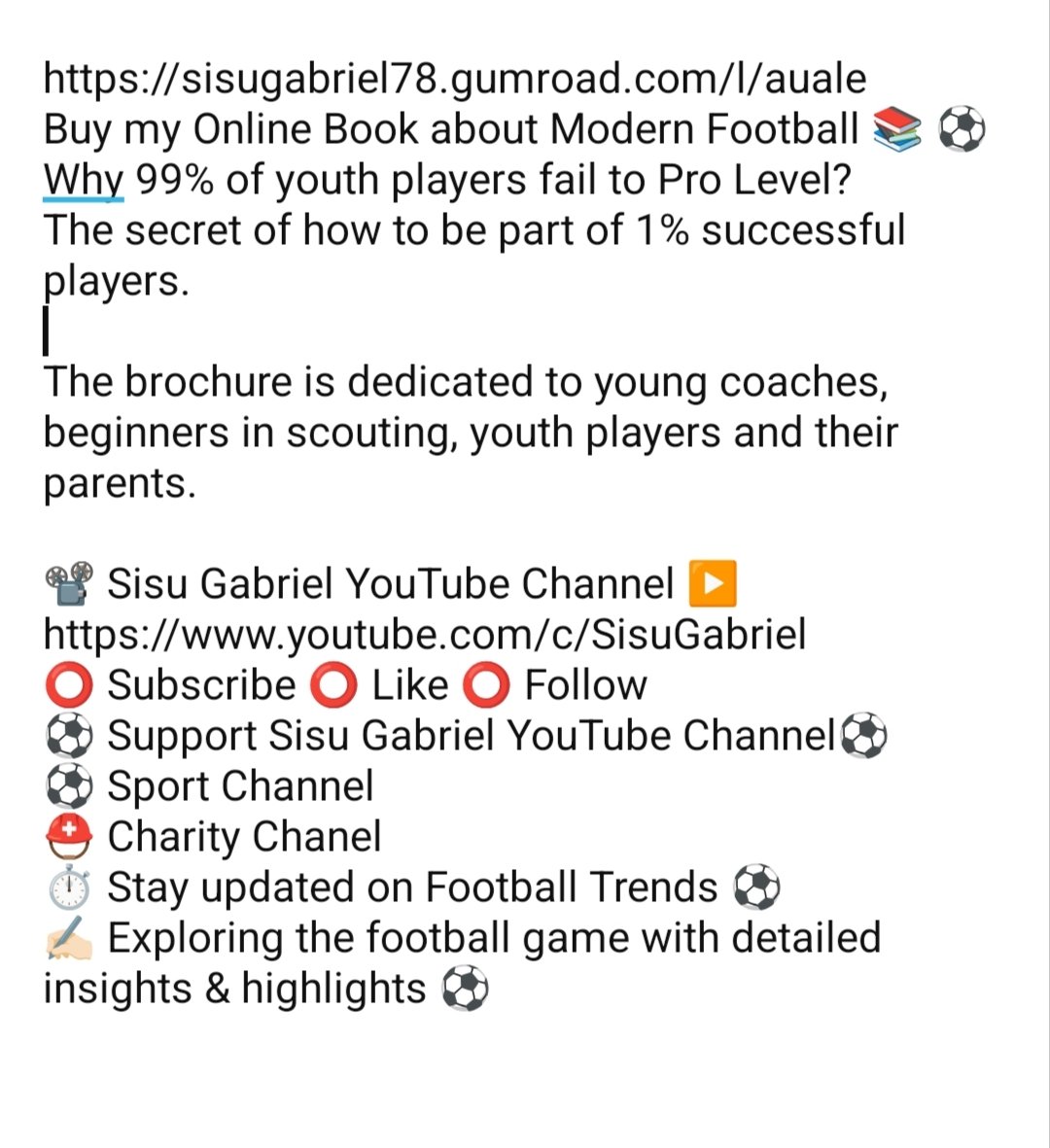 Sisu Gabriel Football Scouting ⚽ 📝 tweet media