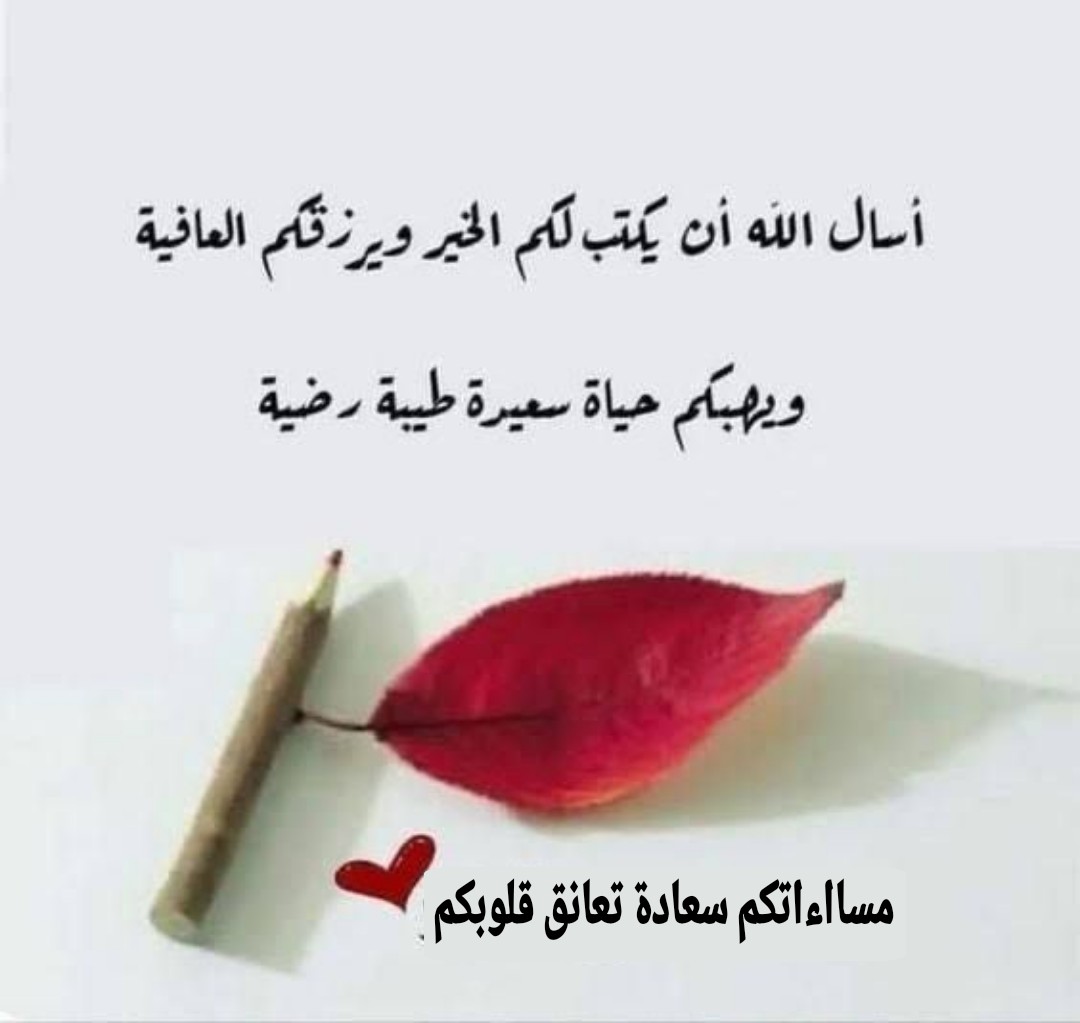 #ظليل..🇸🇦💚 tweet media