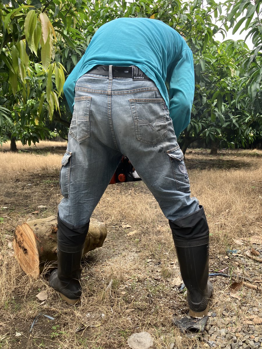 bugubear's tweet photo. ［木瓜師傅]
進入一家很爛的木工小企業最開心的事就是看見木瓜，很單純頂真的男人，從他身上偷學很多東西，很快把木工任務全丟給我，迅速打下實力。後來他不幹去租大片芒果園自建鐵皮屋農舍，我把他衣褲鞋襪的體味吸得精光，就差沒開口在農舍裡含他屌。。。 https://t.co/nIyj1NK7XC