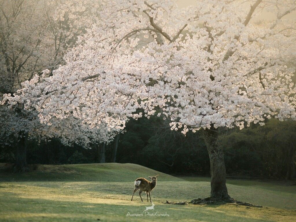 °❀.ೃ࿔* tweet media