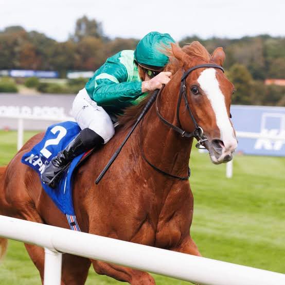 Jess Samy tweet media