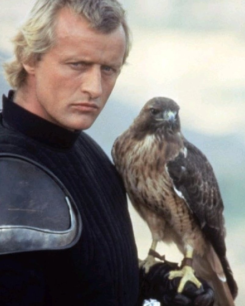 The Movie Professor 🎬🎥📺 tweet media