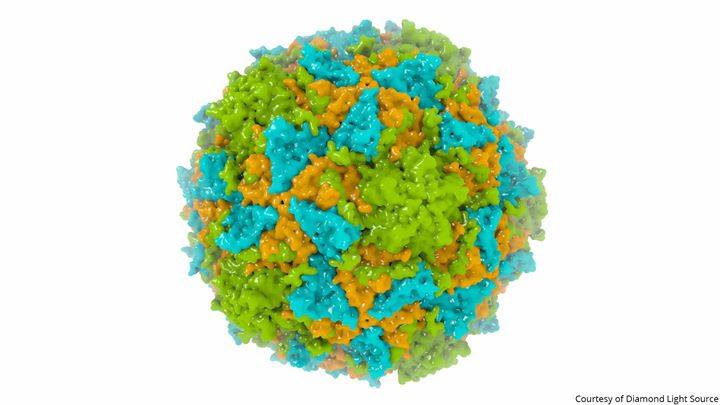 NobelPrize's tweet image. This 3D structure of a polio vaccine was enabled by a #NobelPrize-awarded discovery. Cryo-electron microscopy allows us to see intricate details in biological structures. Jacques Dubochet, Joachim Frank and Richard Henderson were awarded the 2017 chemistry prize for their work.