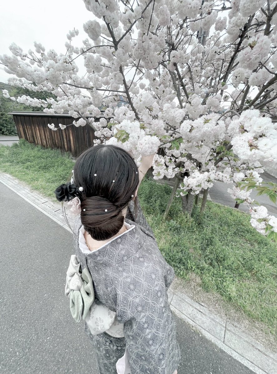 小熊 キチ 💁‍♂️ tweet media