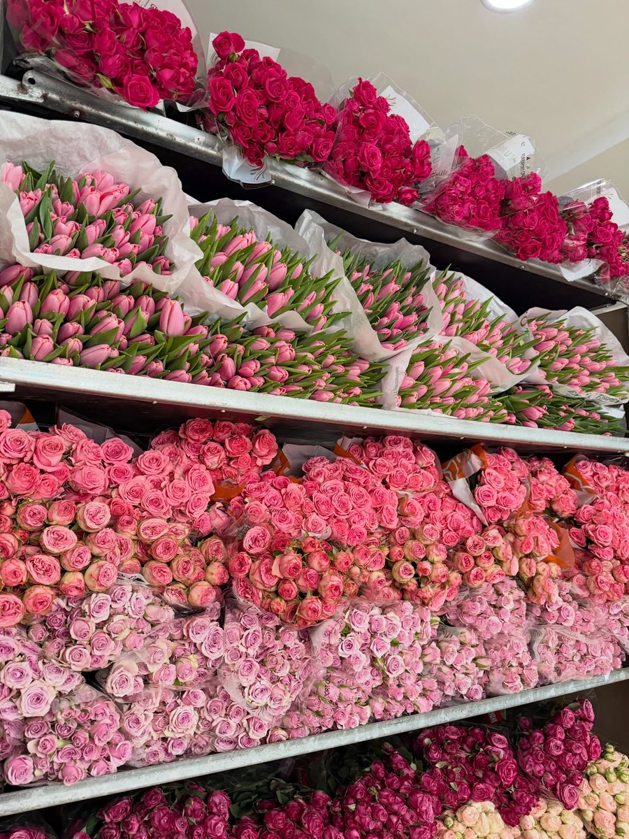 Soft Petals tweet media