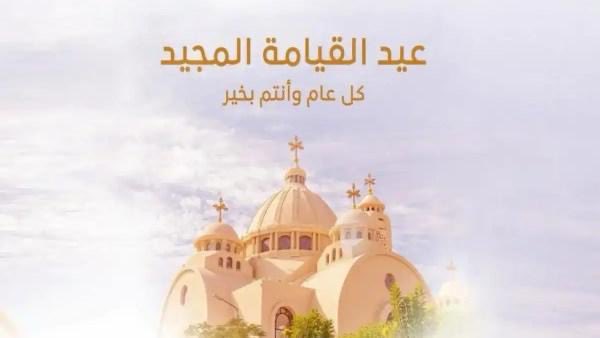 Dr Hala Zaid tweet media